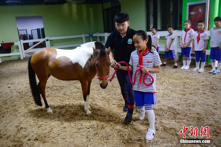 馬との触れ合い体験　 内蒙古自治区の小学校で馬術体験授業
