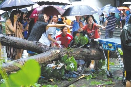 暴風雨で倒れた木の下敷きになった男性を女子大生が協力して救出　四川省