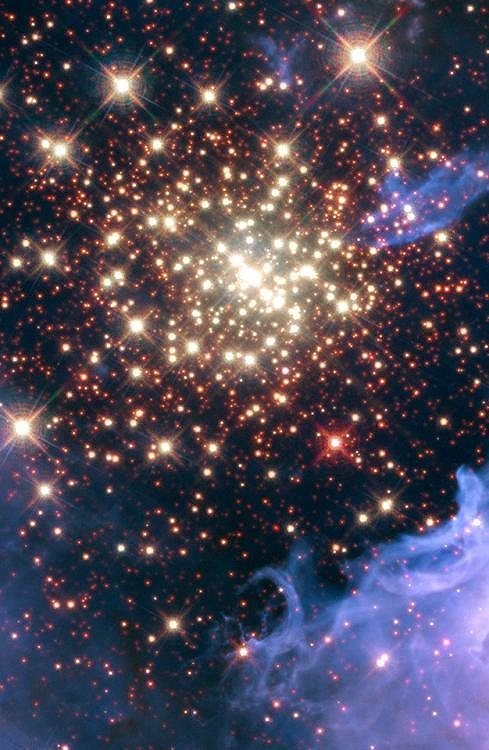 キラキラと光り輝く星　NGC3603星雲の超新星爆発の瞬間