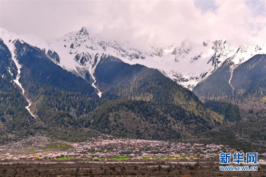 白書：チベット高原は依然地球上で最もクリーンな地域のひとつ