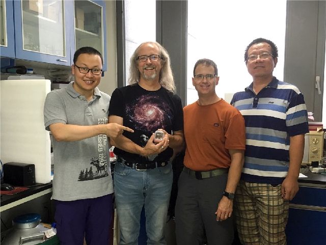 琥珀からヘビ類の標本発見、9900万年前の未知の種