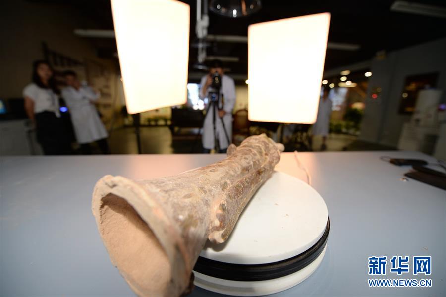 陝西歴史博物館、3D技術で文化財修復にサポート