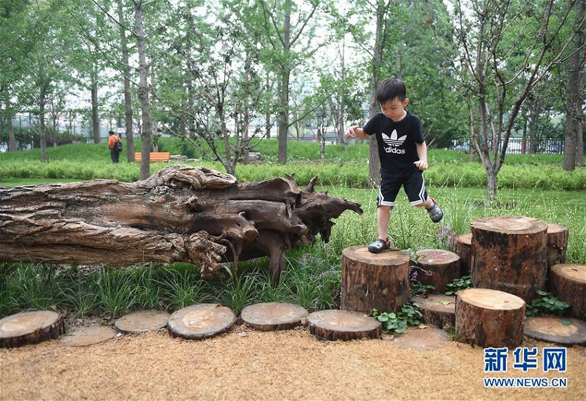 北京市東城区初の都市森林公園がオープン