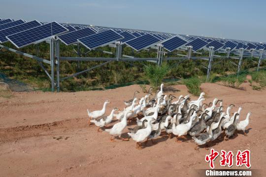 中国で7番目に大きい砂漠が「緑化による砂漠の後退」への転換