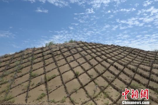 中国で7番目に大きい砂漠が「緑化による砂漠の後退」への転換