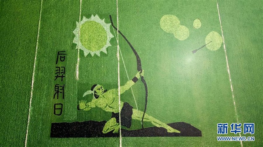 地表に浮かぶ生き生きとした絵　安徽省寿県で田んぼアートが見ごろ