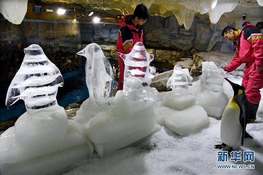 極地彫刻展が青島市海昌極地海洋公園にて開催　山東省
