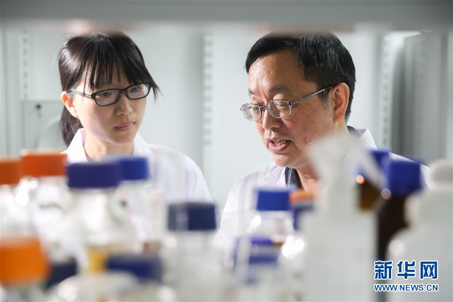 世界初の人工単一染色体真核細胞、中国人科学者が生成に成功