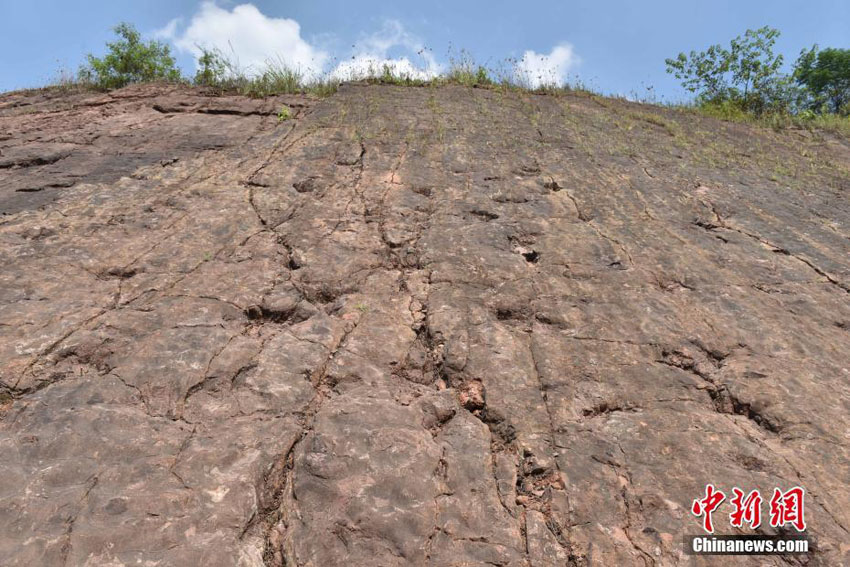 中国最大のジュラ紀初期の竜脚類恐竜の足跡化石群を発見