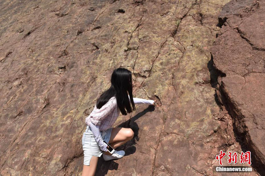 中国最大のジュラ紀初期の竜脚類恐竜の足跡化石群を発見