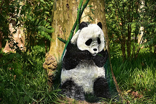 パンダ出没！上海共青森林公園の自然を活かした試みとは？