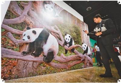 パンダのテーマ展が北京でスタート