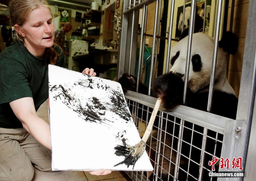 オーストリア・シェーンブルン動物園のパンダ画伯、水墨画を披露　