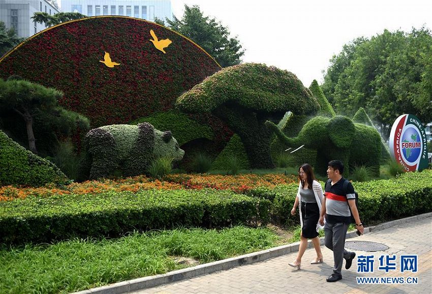北京サミット控え、市内に色鮮やかな歓迎のフラワーアート