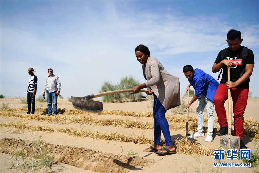 中国で砂漠化対策学ぶナミビア人女性