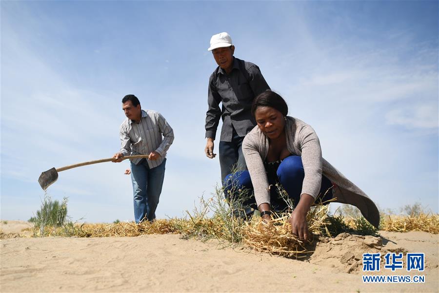 中国で砂漠化対策学ぶナミビア人女性