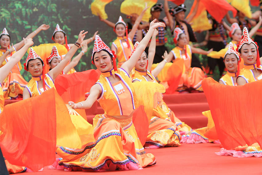 雲南でクルミフェスティバル　世界有名ブランドを目指す