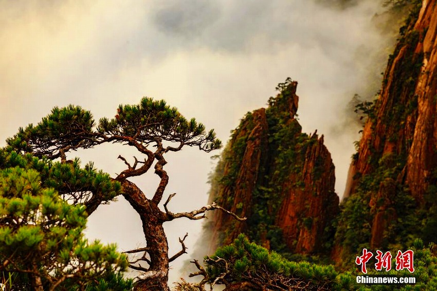 安徽省の黄山に雲海広がる　水墨画のような絶景