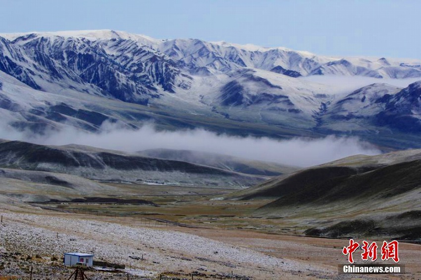 祁連山脈で初雪観測　雪山をバックに緑映える草原