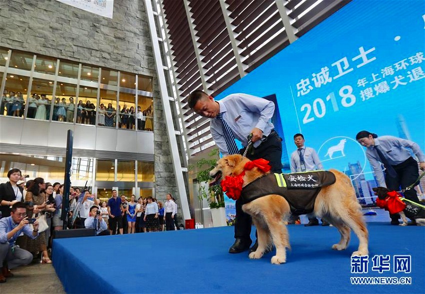 上海環球金融センターの爆発物探知犬4頭が「勇退」