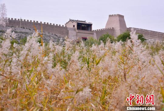 秋に色づく甘粛省嘉峪関の関城