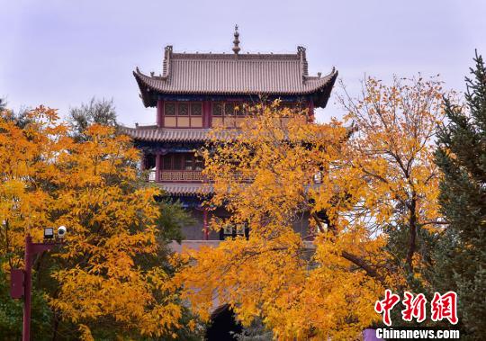 秋に色づく甘粛省嘉峪関の関城