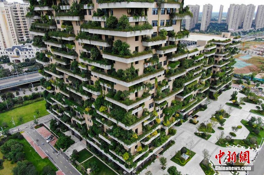 「緑いっぱいの建築物」を空撮　江蘇省句容市