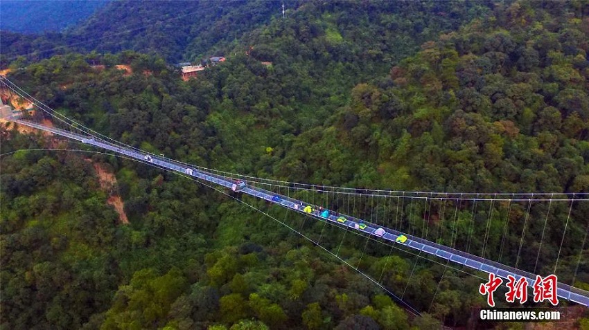 大峡谷にかかる広東省最長のガラス橋の一般開放スタート