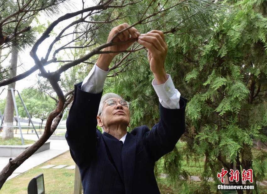日本の植樹訪中団33回目の南京訪問　南京大虐殺の犠牲者を追悼