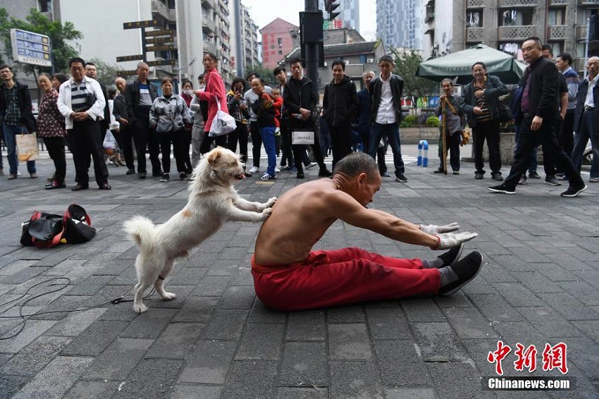 愛犬と街中でパフォーマンスを披露する75歳男性　重慶市

