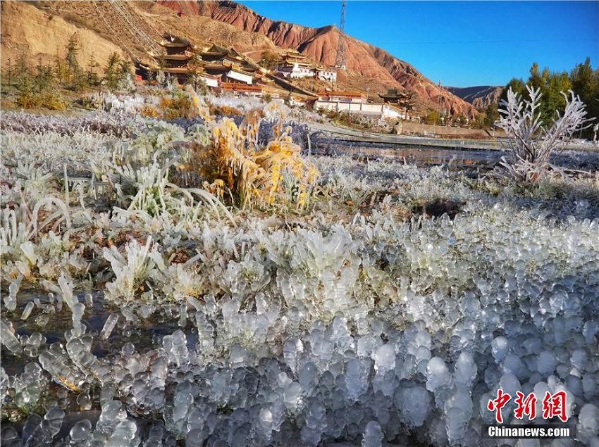 急激な冷え込みで草花に雨氷、キラキラ輝く幻想的な風景広がる　甘粛省
