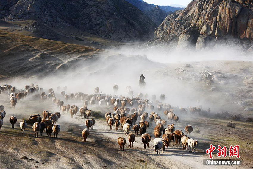圧巻のスケール！遊牧民たちの秋の大移動　新疆