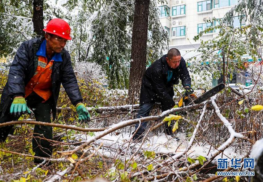 ウルムチで積雪　本格的な冬に突入