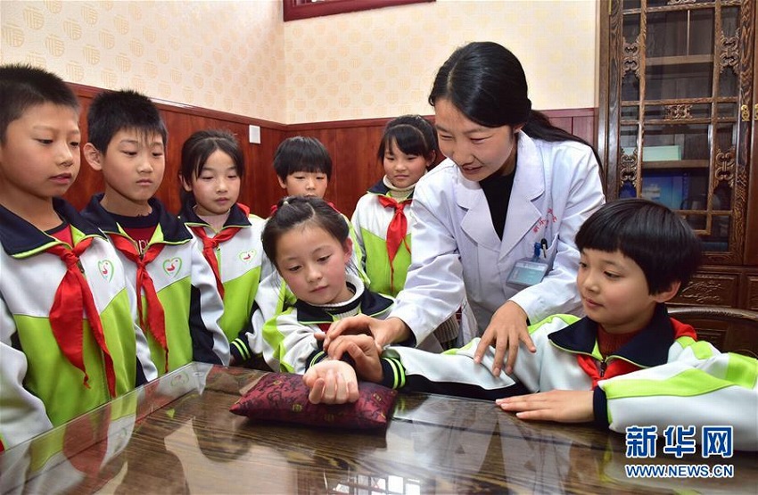 世界伝統医薬デーに中医文化を体験し、その魅力を知るイベント
