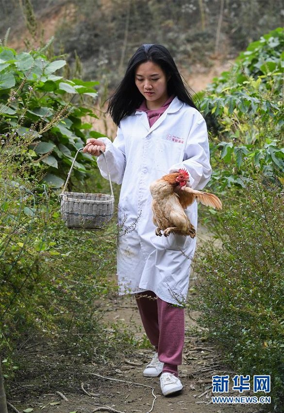 留学から帰国後、家業の養鶏場継いだ中国人女性　