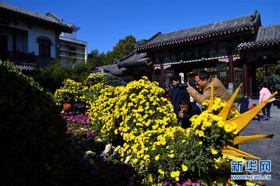 鮮やかな色とりどりの菊で飾られた美しい泉　山東省