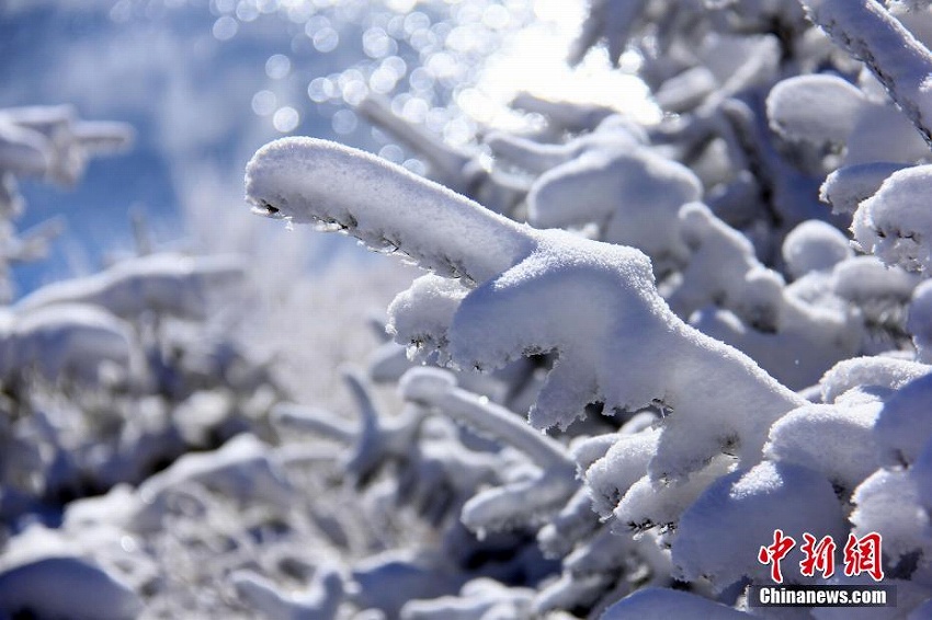 天山天池景勝地が氷雪の世界に　新疆ウイグル自治区