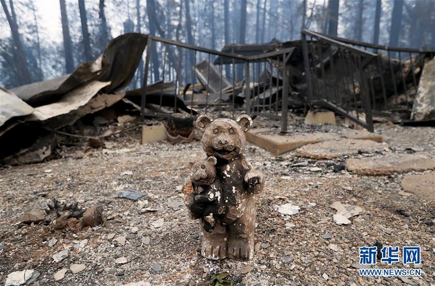米カリフォルニア州北部の山火事、死者が48人に