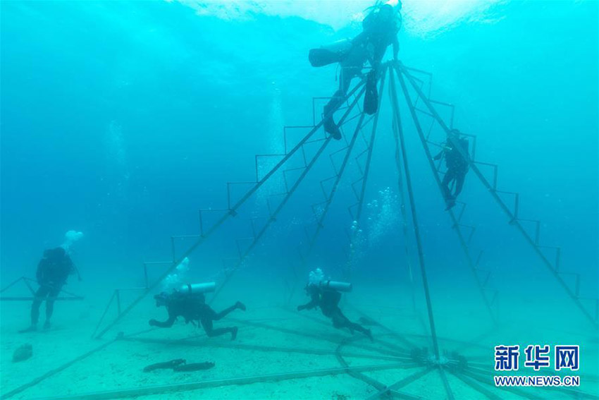 サンゴ保護員の義務担うダイビングインストラクター　海南省