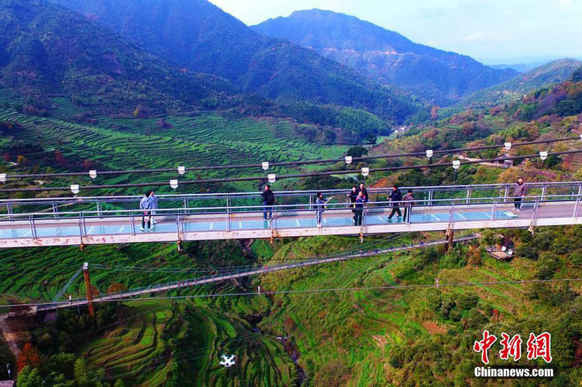 絶景とスリルを同時に堪能　江西省婺源県の壘心橋