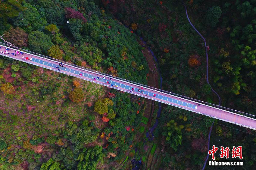 絶景とスリルを同時に堪能　江西省婺源県の壘心橋