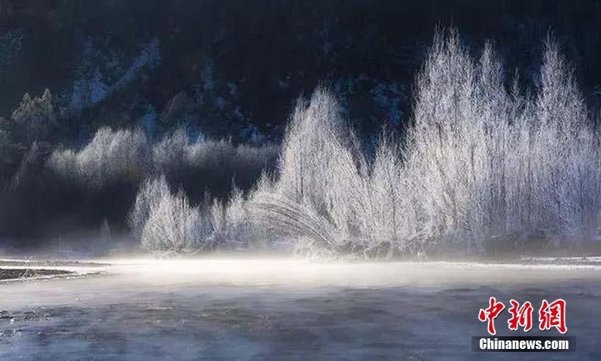 「中国一寒い町」、零下38度の世界に広がる幻想的な樹氷風景　黒竜江省