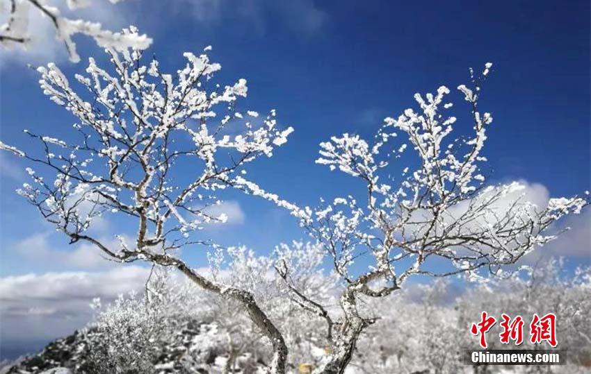 「中国一寒い町」、零下38度の世界に広がる幻想的な樹氷風景　黒竜江省
