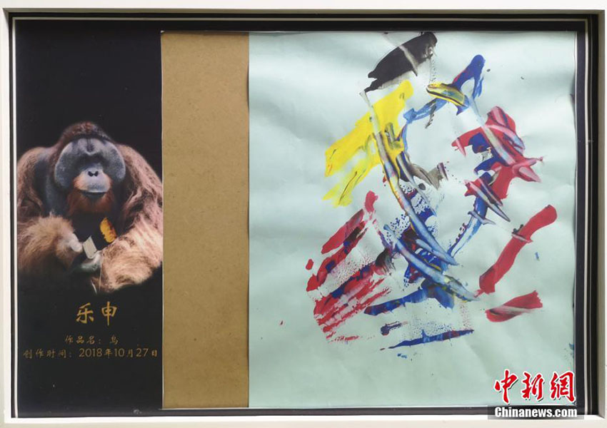 動物界の「魂の画家」　お絵かき大好きな19歳のオランウータン