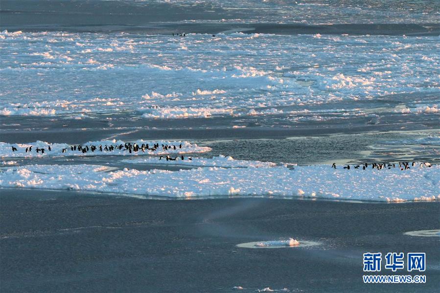 極地観測船「雪竜号」がプリッツ湾に到達