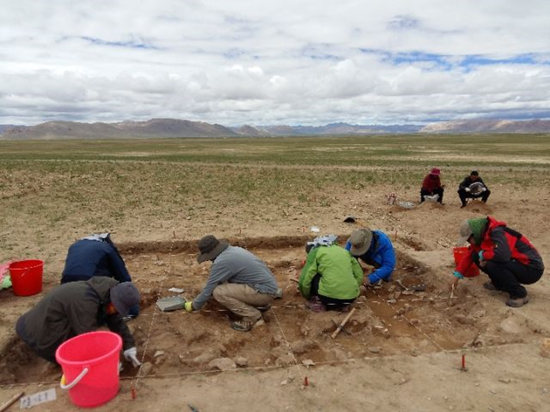 4万年前の人類、チベット高原に到達
