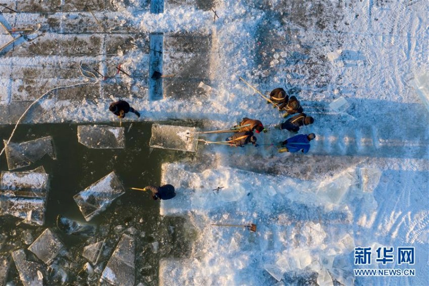 松花江で氷像づくりなどに使われる氷を採取　黒竜江省