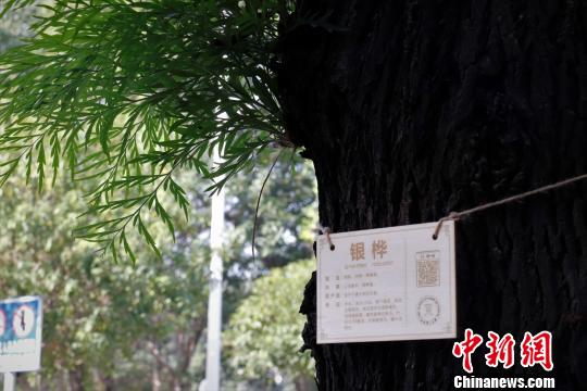 江西省の大学生、200本の植物に専用の「身分証」を作成