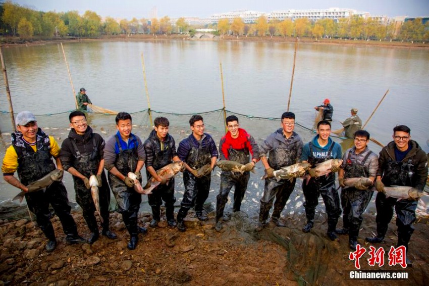 魚を捕まえ、作って、食べよう！武漢の大学で「沁湖魚宴」イベント