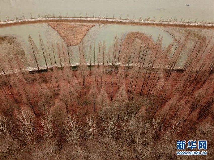 連なる木々が作り上げた洪沢湖ダムの絶景　江蘇省